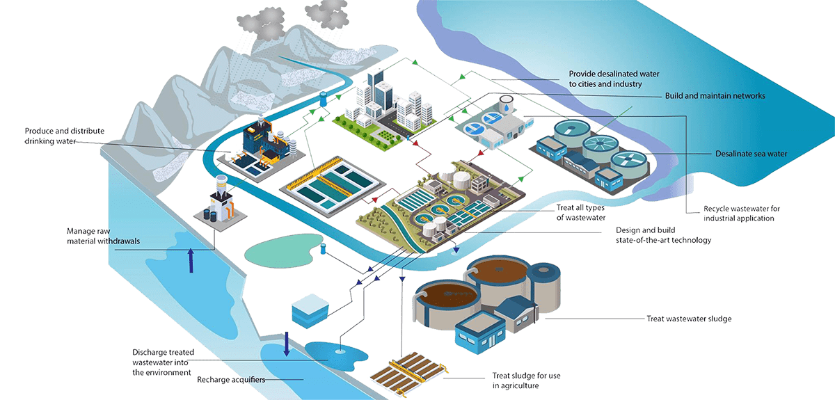 WAE | Identity & Ambition