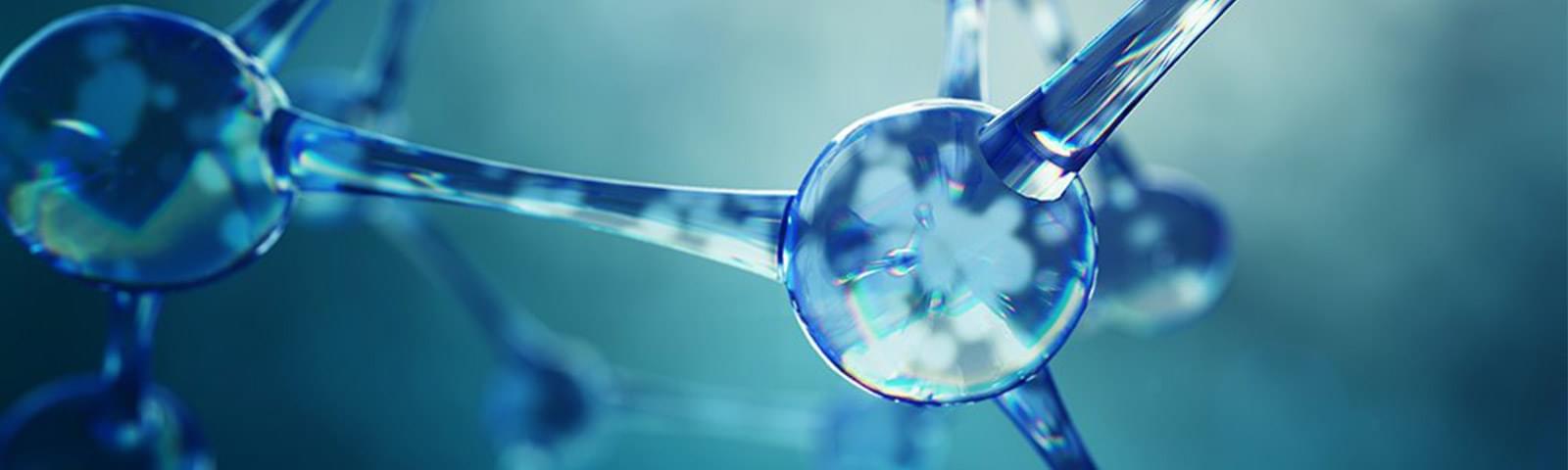 Say no to bottled water